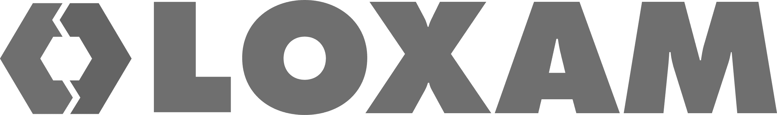 Loxam icon